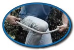 Bend PVC Pipe without Heat. Insert Spring into the Pipe and bend across your Knee.